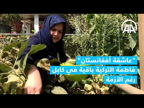 عاشقة أفغانستان فاطمة التركية باقية في كابول رغم الأزمة